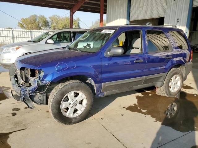 2006 Ford Escape XLT