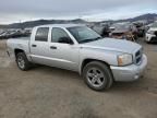 2007 Dodge Dakota Quad SLT