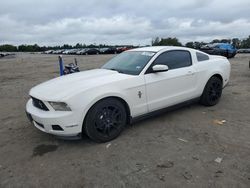 Muscle Cars for sale at auction: 2012 Ford Mustang