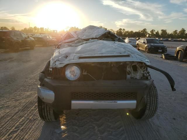 2013 Toyota FJ Cruiser