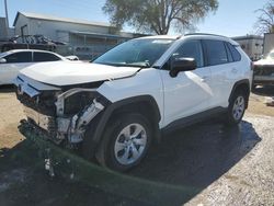 Salvage cars for sale at Albuquerque, NM auction: 2019 Toyota Rav4 LE