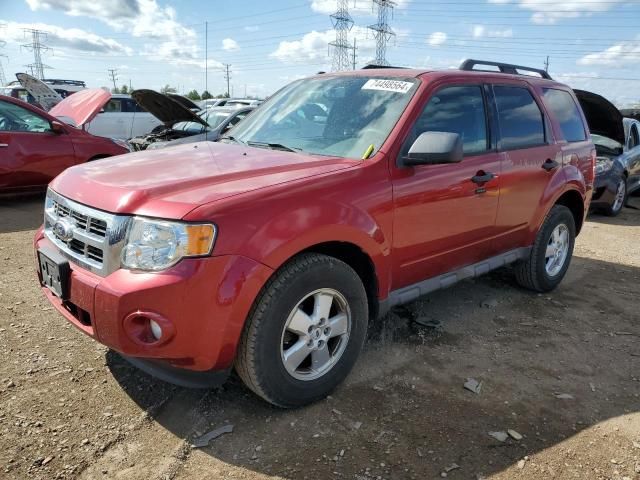 2009 Ford Escape XLT