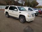 2007 Cadillac Escalade Luxury