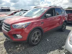 Salvage cars for sale at Riverview, FL auction: 2019 Ford Escape SEL