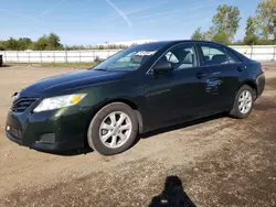 Salvage cars for sale at Columbia Station, OH auction: 2010 Toyota Camry Base