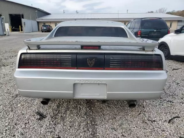 1986 Pontiac Firebird Trans AM