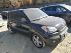 2010 KIA Soul +