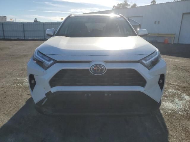 2024 Toyota Rav4 XLE Premium