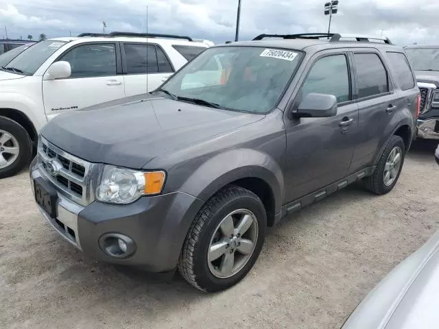 2012 Ford Escape Limited