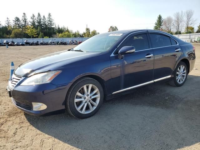 2011 Lexus ES 350