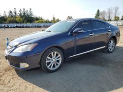 2011 Lexus ES 350 en venta en Bowmanville, ON