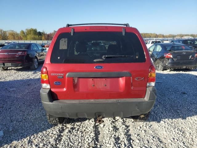 2004 Ford Escape XLT