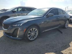 Salvage cars for sale at Arcadia, FL auction: 2021 Cadillac CT5 Premium Luxury