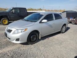 Toyota Vehiculos salvage en venta: 2010 Toyota Corolla Base