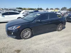 Salvage cars for sale at Sacramento, CA auction: 2019 Hyundai Sonata SE