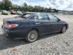 2004 Lexus ES 330