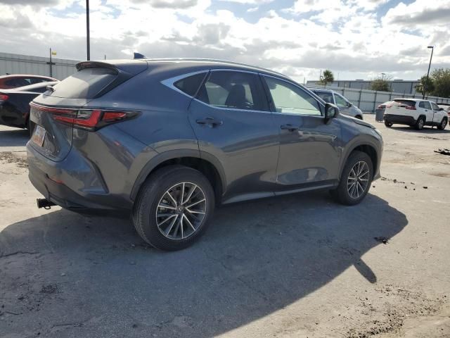 2024 Lexus NX 350H Base