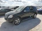 2009 Mercedes-Benz ML 350