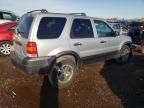 2005 Ford Escape XLT