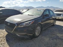 Salvage cars for sale at Magna, UT auction: 2017 Hyundai Sonata Hybrid