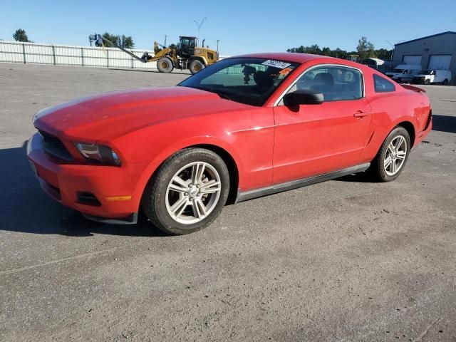 2010 Ford Mustang