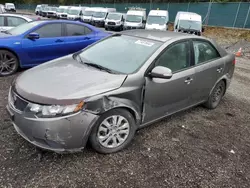 KIA salvage cars for sale: 2010 KIA Forte EX