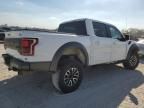 2019 Ford F150 Raptor