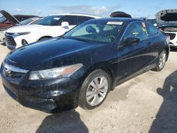 Salvage cars for sale at Arcadia, FL auction: 2011 Honda Accord EXL