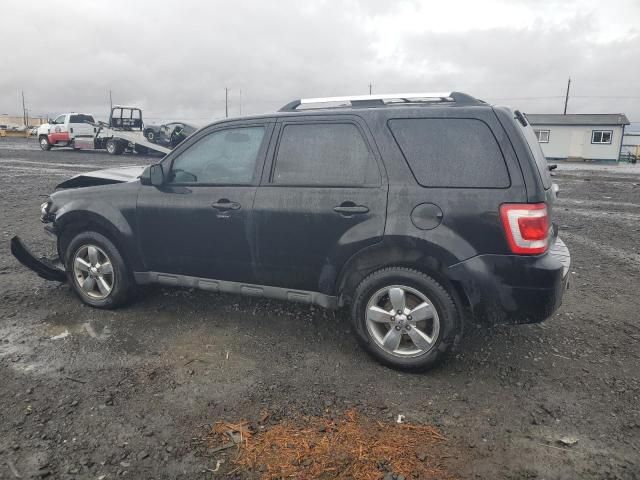 2011 Ford Escape Limited