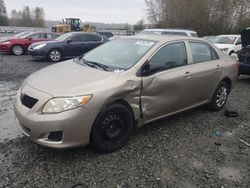 Salvage cars for sale from Copart Arlington, WA: 2010 Toyota Corolla Base