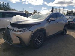 Salvage cars for sale at Bowmanville, ON auction: 2024 Lexus NX 350 Premium