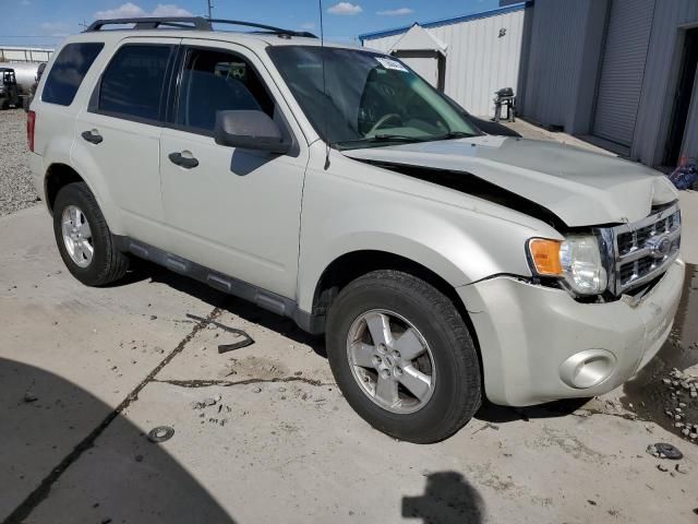 2009 Ford Escape XLT