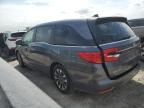 2024 Honda Odyssey EXL