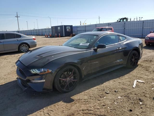 2023 Ford Mustang