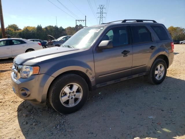 2009 Ford Escape XLT