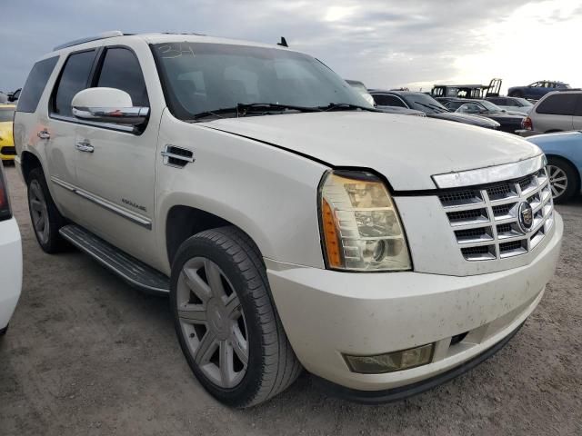 2007 Cadillac Escalade Luxury