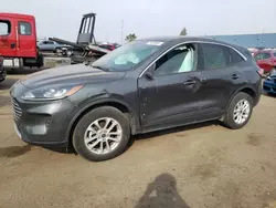 Salvage cars for sale at Woodhaven, MI auction: 2020 Ford Escape SE