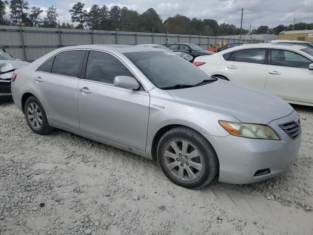 2009 Toyota Camry Hybrid