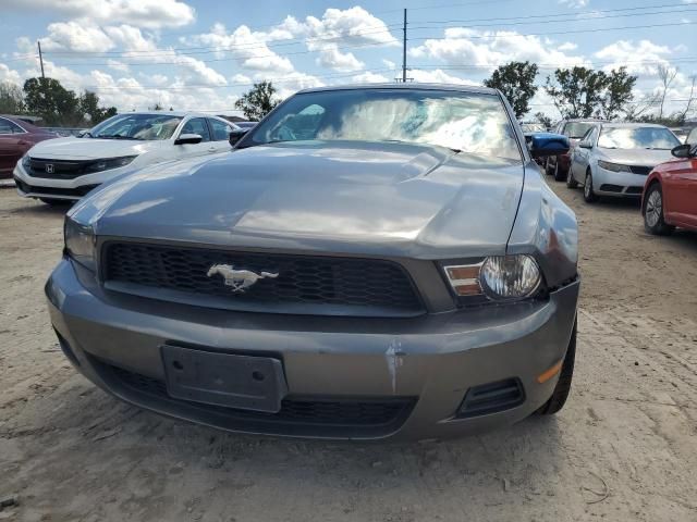 2010 Ford Mustang