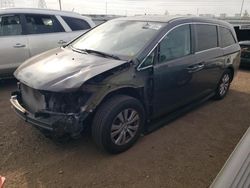 Salvage cars for sale at Elgin, IL auction: 2014 Honda Odyssey EXL