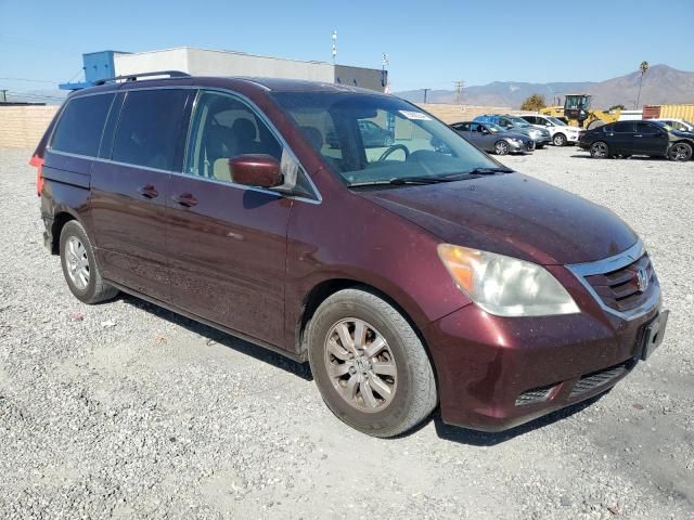 2010 Honda Odyssey EXL