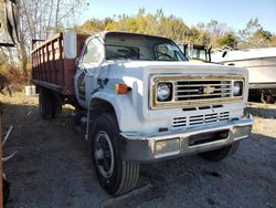 Salvage trucks for sale at Portland, MI auction: 1980 Chevrolet C6500