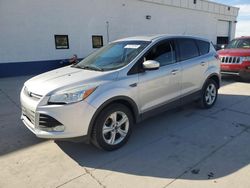 Salvage cars for sale at Farr West, UT auction: 2015 Ford Escape SE