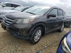 Honda salvage cars for sale: 2013 Honda CR-V EXL