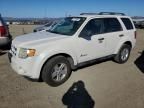 2011 Ford Escape Hybrid