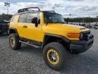 2007 Toyota FJ Cruiser