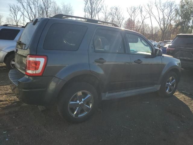 2009 Ford Escape XLT