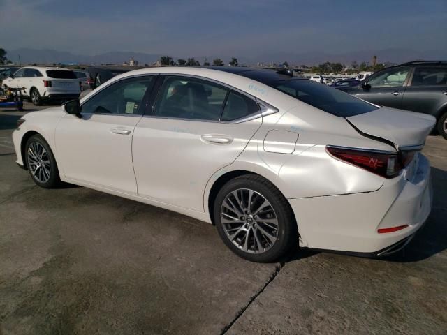 2019 Lexus ES 350