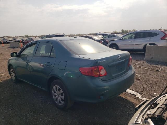 2010 Toyota Corolla Base