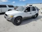 2001 Ford Escape XLT